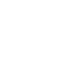 puidig لوگو سفید